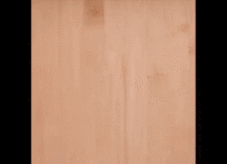 Mastering Your Kitchen Skills: Tips for Peeling Shrimp with a Fork