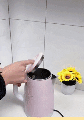 Failure to Clean Super-Fast Kettle Risky – Unchecked Cultivation of Bacteria!