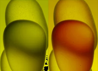 Download High-Quality Wallpapers for iPhone 15/Plus/Pro/Pro Max