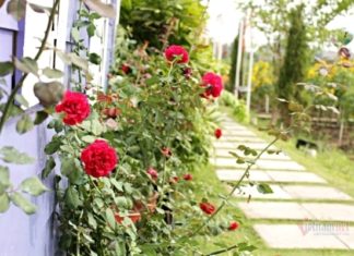 Simple Ways to Combat Covid-19 That Every Home Should Follow