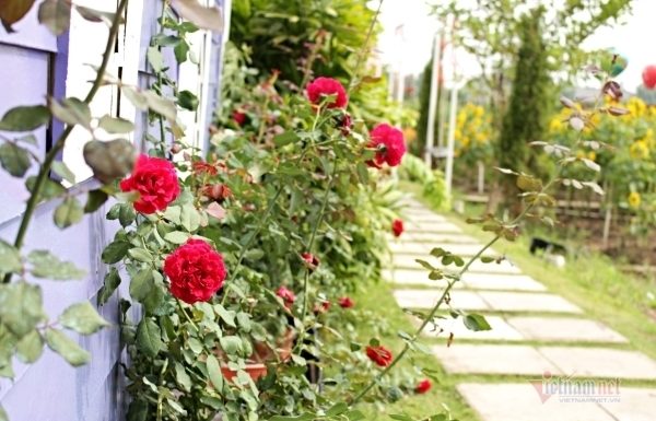 Simple Ways to Combat Covid-19 That Every Home Should Follow