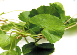 4 Home Remedies for Lightening Dark Scars