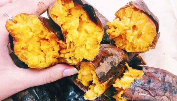 Uncovering the Nutrient Loss Caused by Mistakes in Storing and Processing Sweet Potatoes