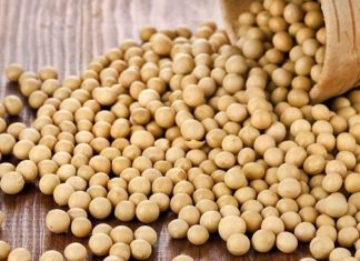 Foods to Avoid Before Working Out