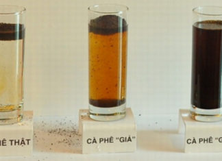 Testing Pure Coffee with Only One Cup of Water – Fast and Easy!