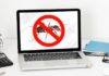 4 Most Effective Ways to Stop Ants From Crawling Into Your Laptop