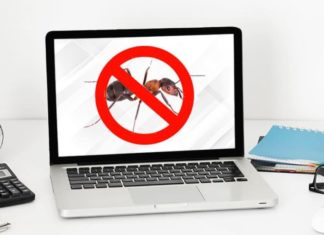 4 Most Effective Ways to Stop Ants From Crawling Into Your Laptop