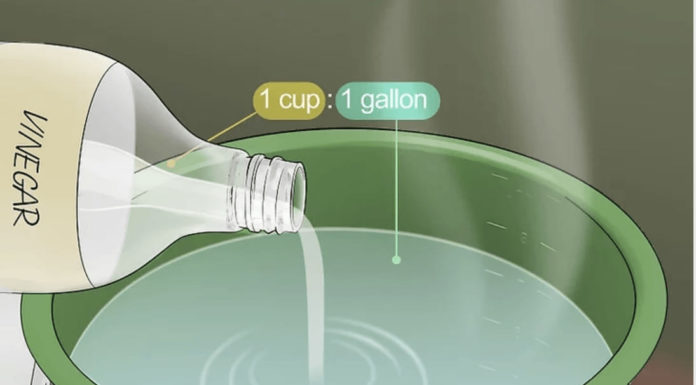 Discover How to Easily Clean Your Floor with Vinegar!