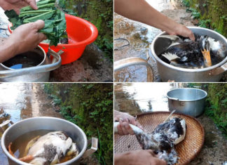 “Step Up Your Cooking with This Duck Trick”