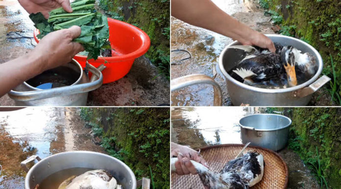 “Step Up Your Cooking with This Duck Trick”