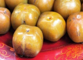 Food Enthusiasts Must Pre-Order Countryside Specialty Fruits at Least One Month In Advance