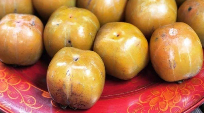 Food Enthusiasts Must Pre-Order Countryside Specialty Fruits at Least One Month In Advance