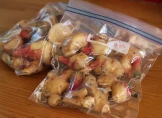 2-Hour Soaking Makes Ginger Peeling Easier