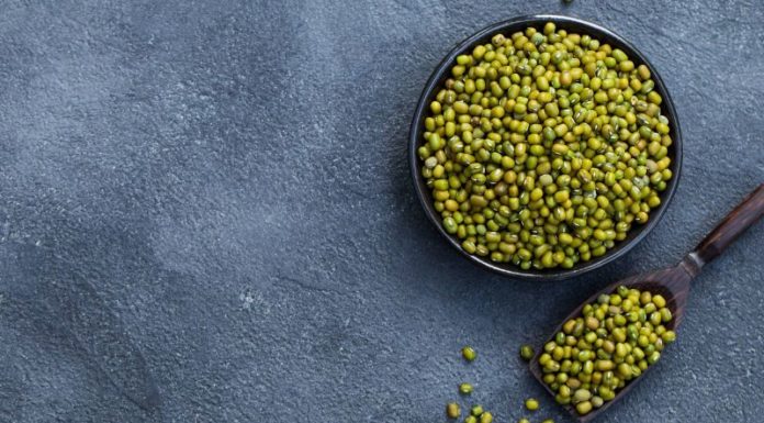 How to Select Quality Mung Beans Free of Worms