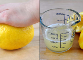 5 Must-Have Kitchen Tips For Homeowners