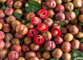 Identifying Japanese and Chinese Plums: Where are Plum Trees Grown?