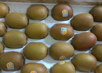 Selecting Yummy Kiwis: A Guide