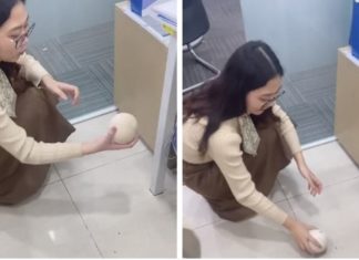 “Simple Office Trick for Removing Coconut Meat”