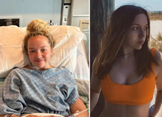 Survival Strategies for Thwarting a Shark Attack While Swimming in the Ocean