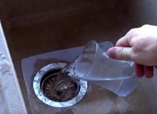 Survival Strategies: Life Lessons Learned From a Guitar String