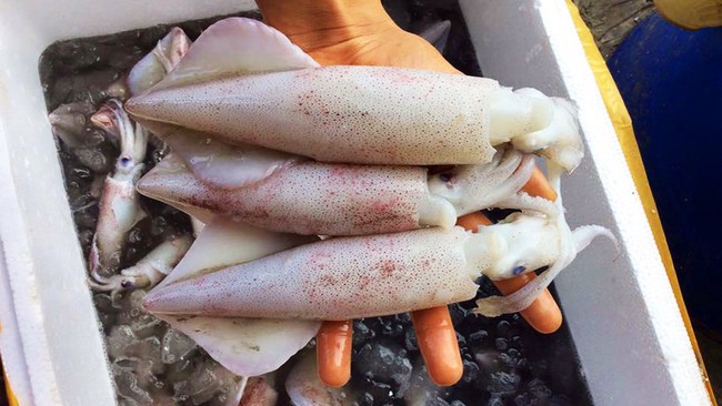 Learn How to Identify Fresh Ink versus Chemically Soaked Ink to Protect Your Health