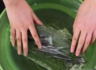 3 Steps for Keeping Bottle Gourd Fresh for 10+ Days Without Using a Refrigerator