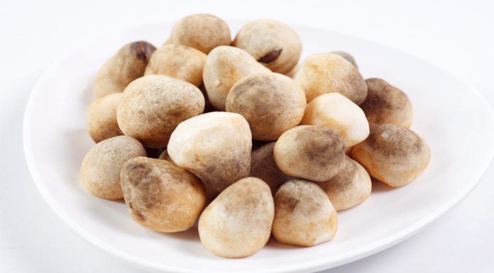 Unveiling the Miraculous Benefits of Mushrooms