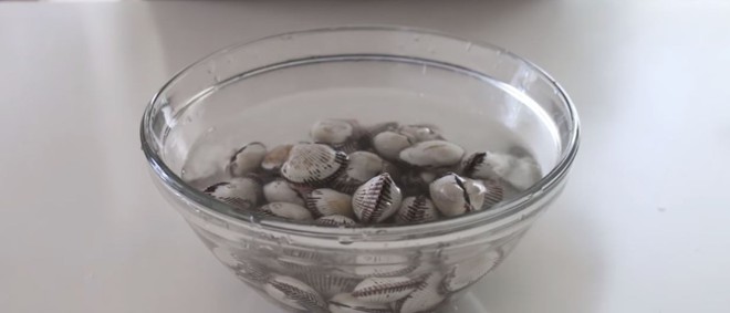 Sofaking Clams and Mussels Two Hours to Release Sand