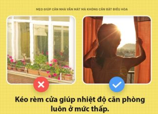 How to Keep Your Home Cool Without an Air Conditioner in a Scorching Sun