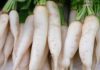 How to Select Quality Chinese White Radishes