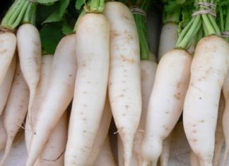 How to Select Quality Chinese White Radishes