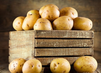 How to Store Potatoes and Keep Them Lasting up to Six Months Without Sprouting