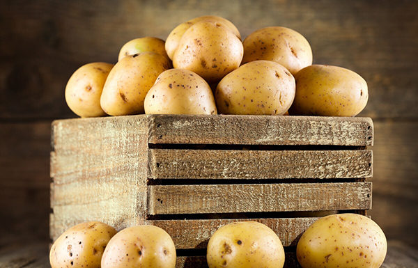 How to Store Potatoes and Keep Them Lasting up to Six Months Without Sprouting