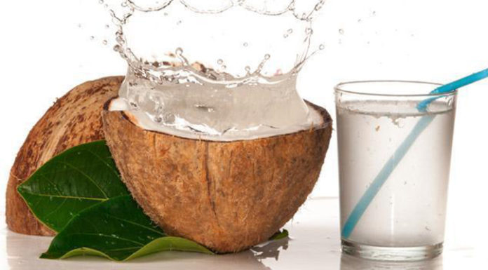 Exploring the Contrasts between Coconut Water and Coconut Milk