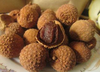 Tips for Choosing Quality Dried Fruits