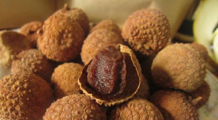 Tips for Choosing Quality Dried Fruits