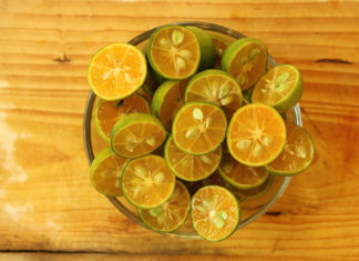 “How to Create a Soap Dish Using Dishwashing Liquid: Life Hack to Save Money”