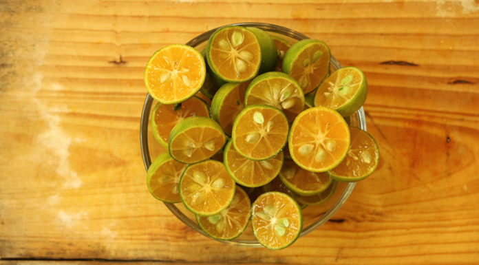 “How to Create a Soap Dish Using Dishwashing Liquid: Life Hack to Save Money”