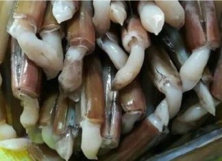 Discover the Amazing Benefits of Snails, Plus Cleaning and Preparing Tips and Delicious Recipes!