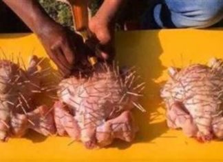 How to Create a Delicious Dish Using Just 30 Toothpicks