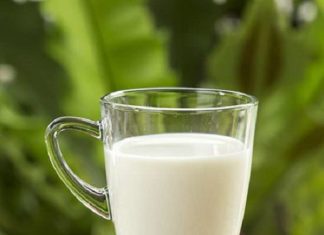 Transform Leftover Milk into Amazing Results: Water Your Plants!