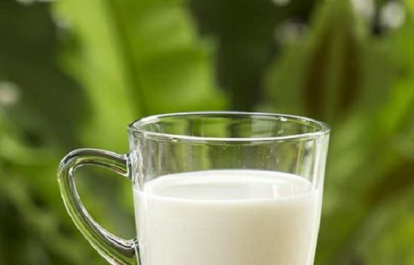 Transform Leftover Milk into Amazing Results: Water Your Plants!