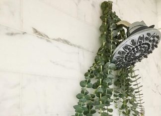 “Shower Surprise Leaves Family Amazed”