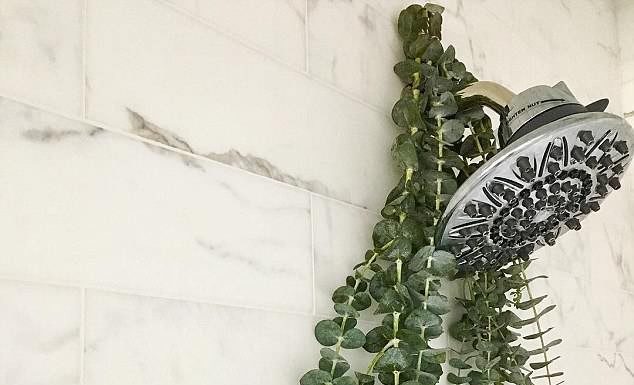 “Shower Surprise Leaves Family Amazed”