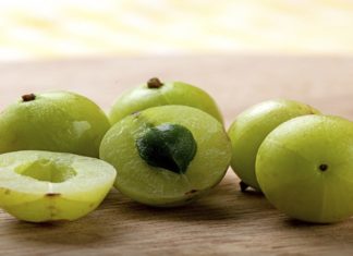 The Health Benefits of Forest Starfruit