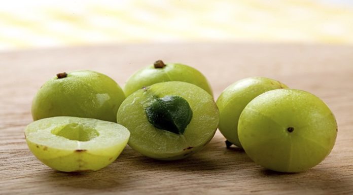 The Health Benefits of Forest Starfruit