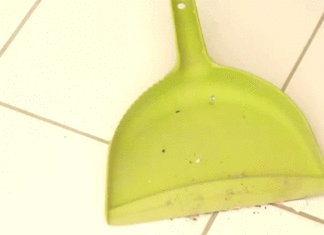 The Cleaning Tasks That Refuse to Be Overlooked: Dust Bin Maintenance