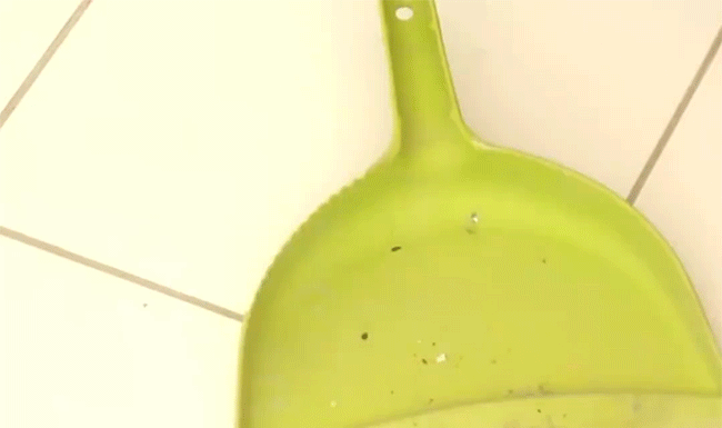 The Cleaning Tasks That Refuse to Be Overlooked: Dust Bin Maintenance