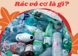 How to Dispose of Inorganic Waste: A Guide to Proper Disposal