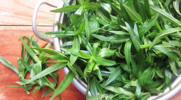 Delicious Dishes Made From Rau Ngổ – What is Rau Ngổ?